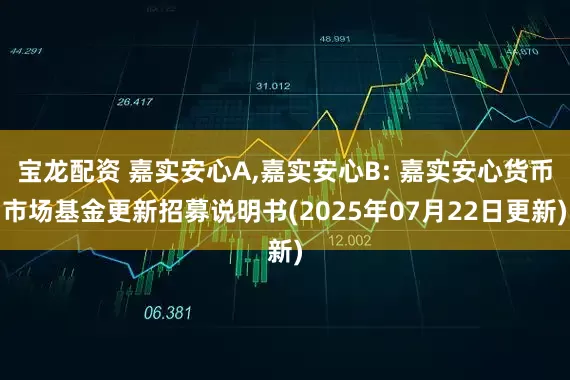 宝龙配资 嘉实安心A,嘉实安心B: 嘉实安心货币市场基金更新招募说明书(2025年07月22日更新)