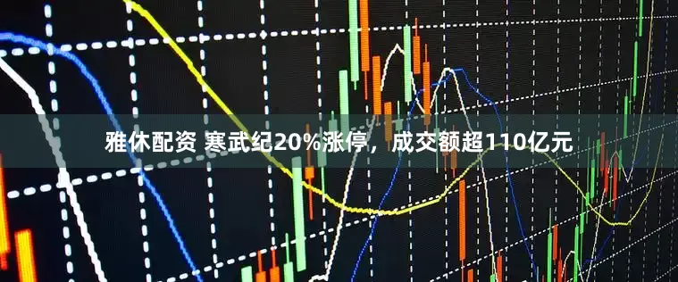 雅休配资 寒武纪20%涨停，成交额超110亿元
