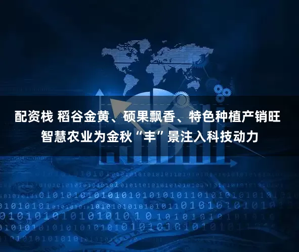 配资栈 稻谷金黄、硕果飘香、特色种植产销旺 智慧农业为金秋“丰”景注入科技动力