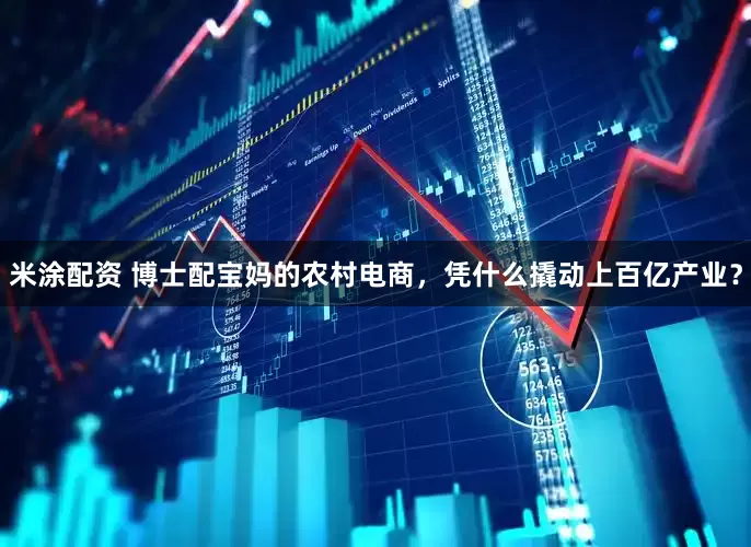 米涂配资 博士配宝妈的农村电商，凭什么撬动上百亿产业？